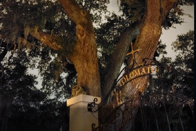 St. Augustine Ghost Tour: A Ghostly Encounter - Ghost-hunting tools and family appeal