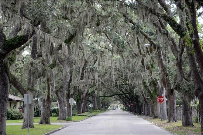 St. Augustine Hop-On Hop-Off Trolley Tour - Stops 5 and 17: Castillo de San Marcos and the waterfront