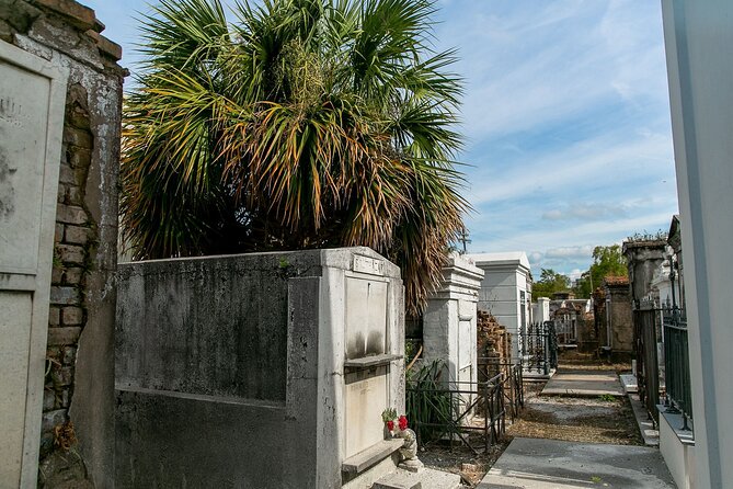 St. Louis Cemetery No. 1 Official Walking Tour - Inside the cemetery: 45 minutes of stories