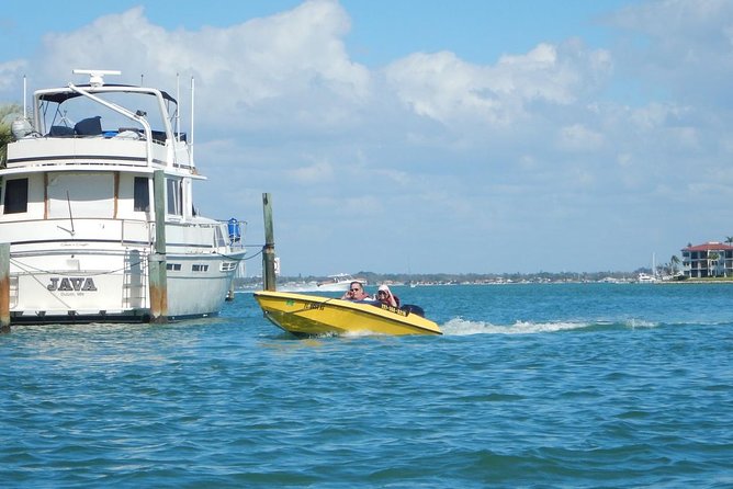 St Petersburg Speed Boat Adventure - Dolphin watching and coastal scenery