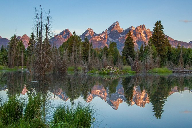 Sunrise 4-Hour Grand Teton Wildlife Adventure - Key points at a glance