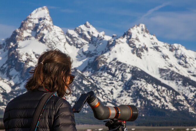 Sunrise 4-Hour Grand Teton Wildlife Adventure - The guides make or break the morning
