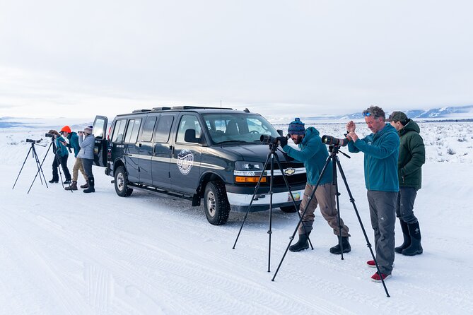 Sunrise 4-Hour Grand Teton Wildlife Adventure - Is $198 a fair price?