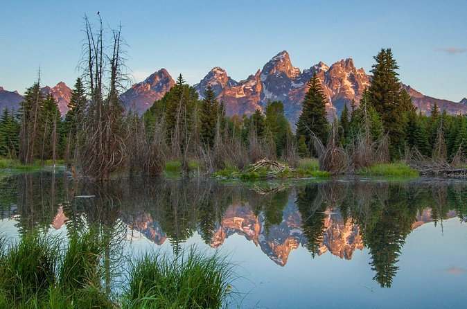 Sunrise 4-Hour Grand Teton Wildlife Adventure - Who should book this tour?