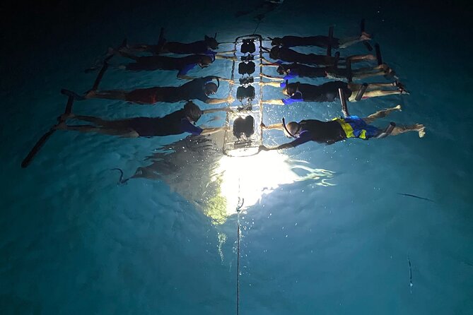 Sunset and Manta Ray Snorkel Adventure - Is $154.51 a good value?
