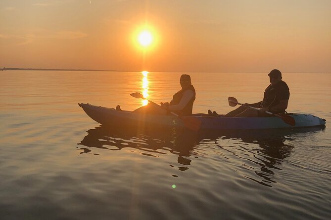 Sunset Dolphin Kayak Tours - How Much Value Do You Get for $68?