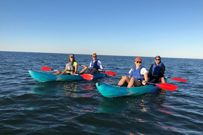 Sunset Dolphin Kayak Tours - What to Bring and How to Prepare