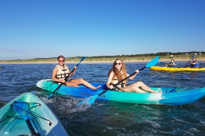 Sunset Dolphin Kayak Tours - Weather, Cancellations, and Wildlife Risk