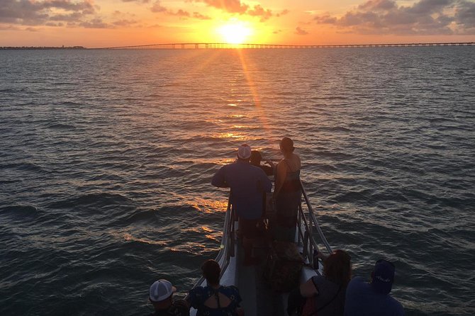 Sunset Dolphin Watch Tour - Quick facts about the South Padre dolphin cruise