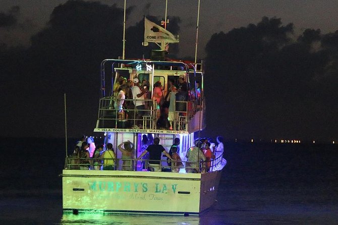 Sunset Dolphin Watch Tour - Watching Atlantic bottlenose dolphins beside the boat