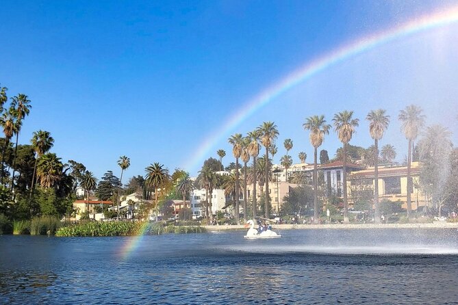 Swan Boat Rental in Echo Park - Daytime rides versus illuminated evening boats