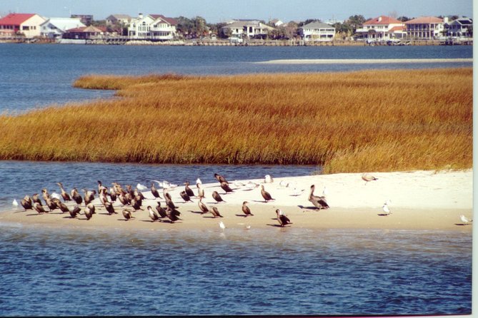 Take a Scenic Boat Ride in St. Augustine - Boarding at the St. Augustine Municipal Marina