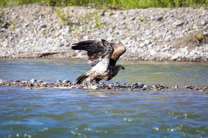 Tetons and Snake River Scenic Float Trip In Jackson Hole - Scenery, geology, and the shape of the valley