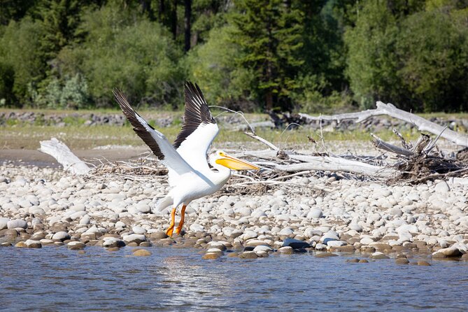 Tetons and Snake River Scenic Float Trip In Jackson Hole - How comfortable is the raft?