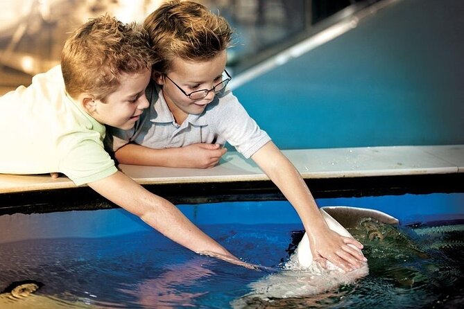 The Florida Aquarium in Tampa General Admission - Starting downtown at The Florida Aquarium