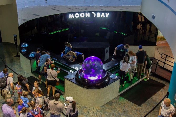 The Florida Aquarium in Tampa General Admission - How long you should stay, and who will enjoy it