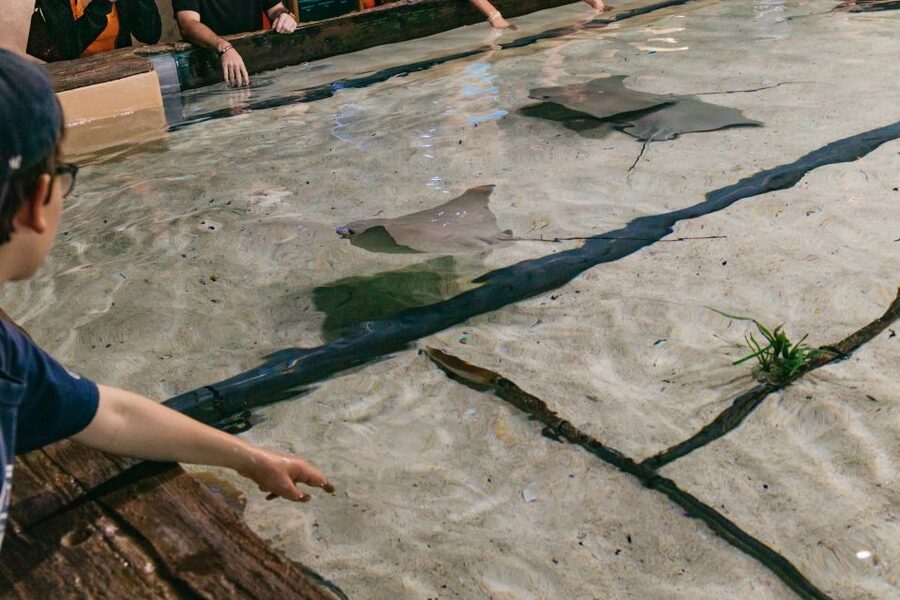 The Florida Aquarium Ticket - The Coral Reef Gallery is the main event