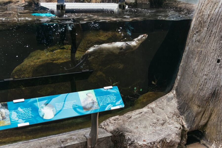 The Florida Aquarium Ticket - Presentations add value to a self-guided visit