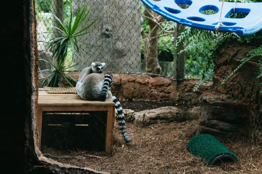 The Florida Aquarium Ticket - Is $36 a fair price?