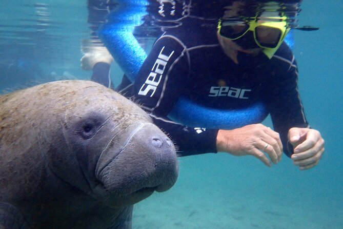 The 'OG' Manatee Snorkel Tour with In-Water Guide/Photographer - The boat ride through Kings Bay and Three Sisters Springs