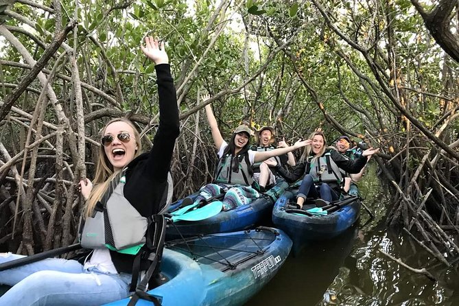 Thousand Island Mangrove Tunnel, Manatee & Dolphin Kayak Tour w/Cocoa Kayaking - Key Points Before You Paddle