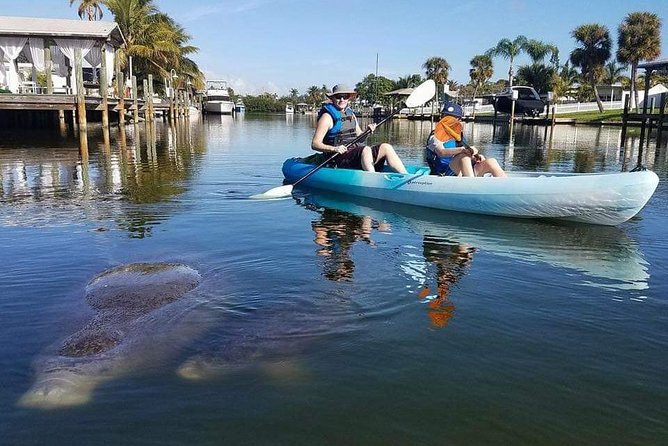 Thousand Island Mangrove Tunnel, Manatee & Dolphin Kayak Tour w/Cocoa Kayaking - Open Water Wildlife: Manatees, Dolphins, and Birds