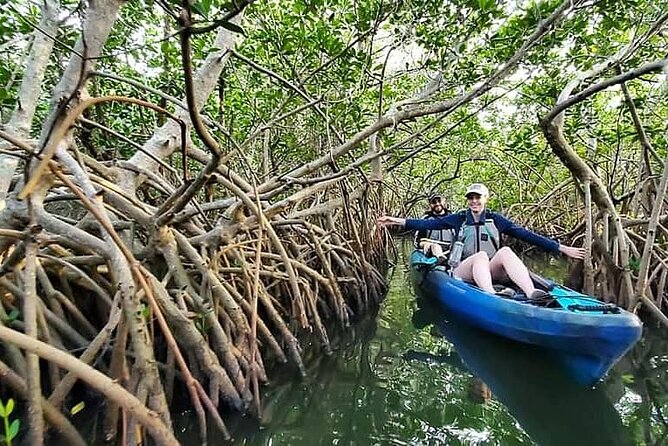 Thousand Island Mangrove Tunnel, Manatee & Dolphin Kayak Tour w/Cocoa Kayaking - What the Guide Adds to the Experience
