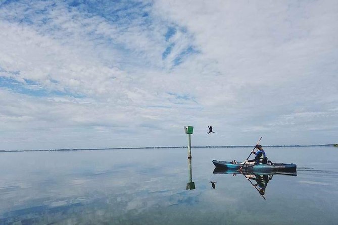 Thousand Island Mangrove Tunnel, Manatee & Dolphin Kayak Tour w/Cocoa Kayaking - Who Will Enjoy This Cocoa Beach Paddle?