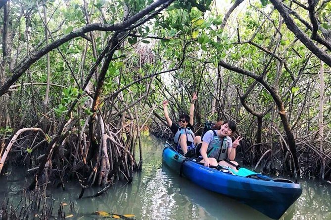 Thousand Island Mangrove Tunnel, Manatee & Dolphin Kayak Tour w/Cocoa Kayaking - Booking Timing, Weather, and Cancellation