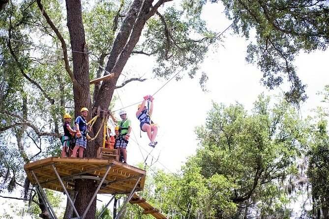 Treetop Express Zip Line Tour with 5 Zip Line Flights & 2 Sky Bridges Included - What the $70 Price Really Buys You