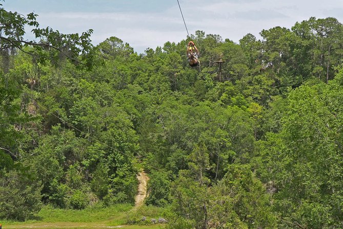 Treetop Express Zip Line Tour with 5 Zip Line Flights & 2 Sky Bridges Included - Starting Low and Slow in Sky High Canyon