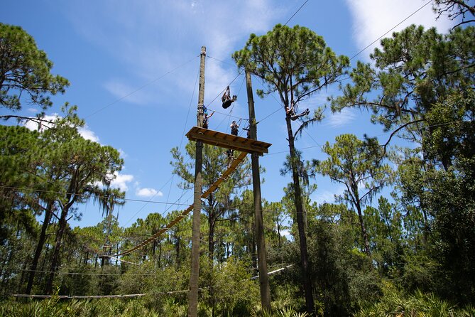 TreeUmph Adventure Course - Is $163 a Fair Price?