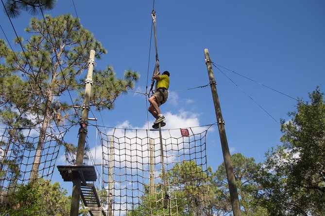 TreeUmph Adventure Course - More Than 120 Obstacles Between the Trees
