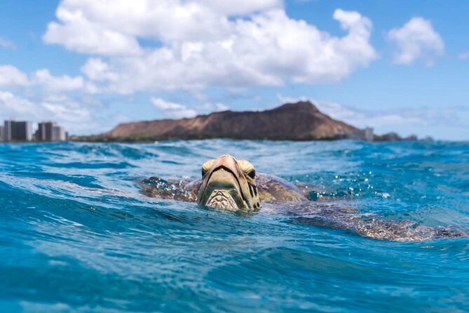 Turtle Canyon Snorkel Adventure - Small Group 6 Passengers - Snacks, water, and what the $105 price buys