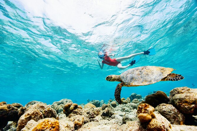 Turtle Canyon Snorkel Adventure - Small Group 6 Passengers - Who should book this snorkel trip