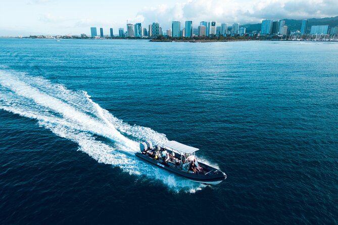Turtle Canyon Snorkel: Semi Private Boat Tour - What You See Underwater at Waikiki