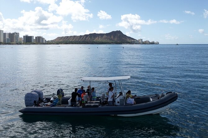 Turtle Canyon Snorkel: Semi Private Boat Tour - Timing, Conditions, and Booking Care