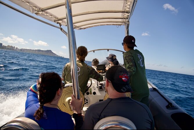 Turtle Canyon Snorkel: Semi Private Boat Tour - Reaching Turtle Canyon From Honolulu