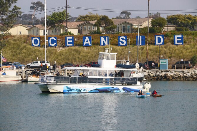Two-Hour Luxury Whale Watching Tour from Oceanside - The real prize: dolphins, porpoises, and sea lions