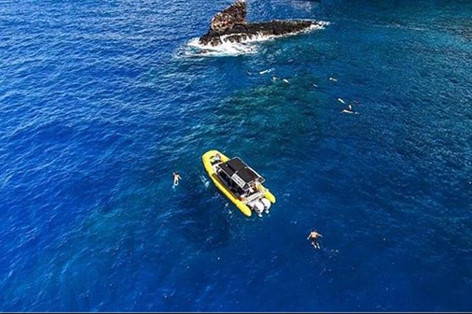 Ultimate 4 Hour Lanai Snorkel and Dolphin Encounter - What the crew adds to the morning