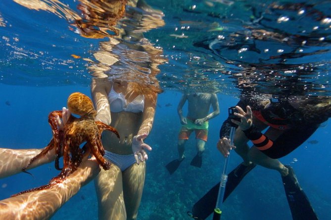 Ultimate 4 Hour Lanai Snorkel and Dolphin Encounter - Snacks, drinks, and what the $175 buys