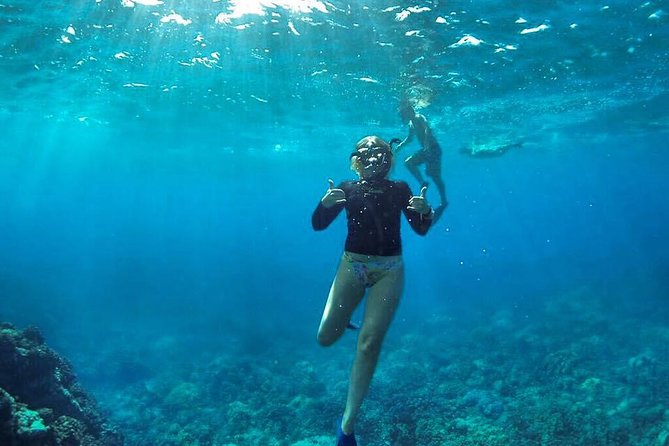 Ultimate 4 Hour Lanai Snorkel and Dolphin Encounter - Practical ways to enjoy the outing