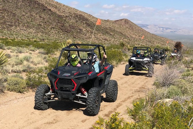 Ultimate Hidden Valley and Primm RZR Adventure from Las Vegas - McCullough Mountain views and Joshua trees