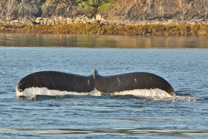 Ultimate Whale Watch and Tracy's Crab Shack Combo - Meeting at the Goldbelt Tram