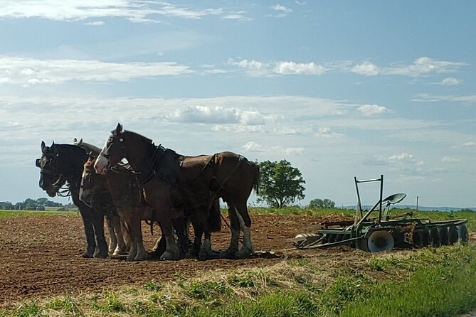 Unique Amish Immersion in Lancaster - The Strasburg Creamery and Included Ice Cream