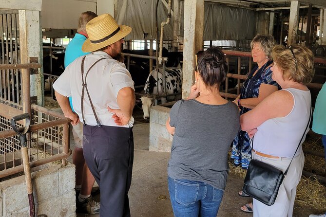 Unique Amish Immersion in Lancaster - Comfort, Weather, and Farm Etiquette