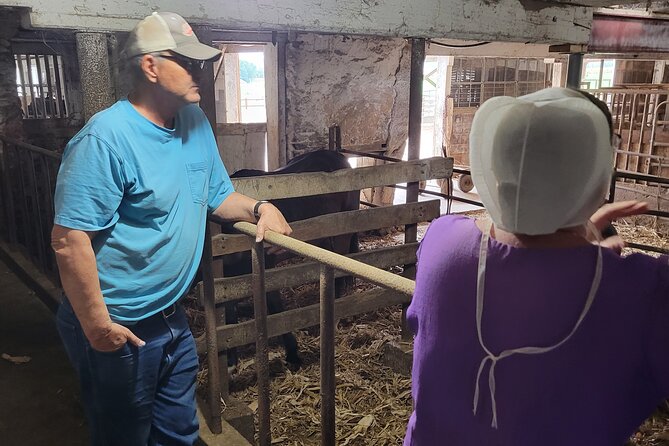 Unique Amish Immersion in Lancaster - Strasburg and the Private Witness Farm