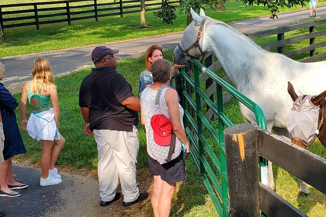 Unique Horse Farm Tours with Insider Access to Private Farms - Why Lexington’s horse country deserves your time