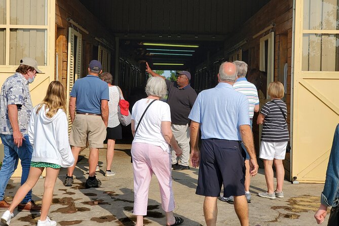 Unique Horse Farm Tours with Insider Access to Private Farms - How much horse contact should you expect?