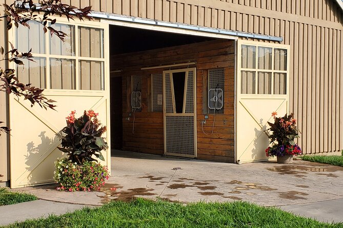 Unique Horse Farm Tours with Insider Access to Private Farms - What the three-hour format feels like
